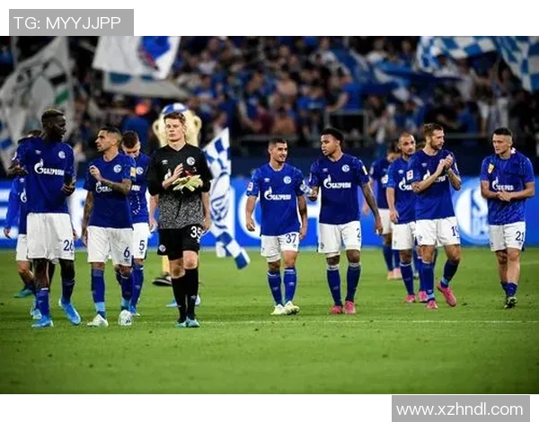 2017年拜仁慕尼黑与沙尔克04精彩对决回顾与分析