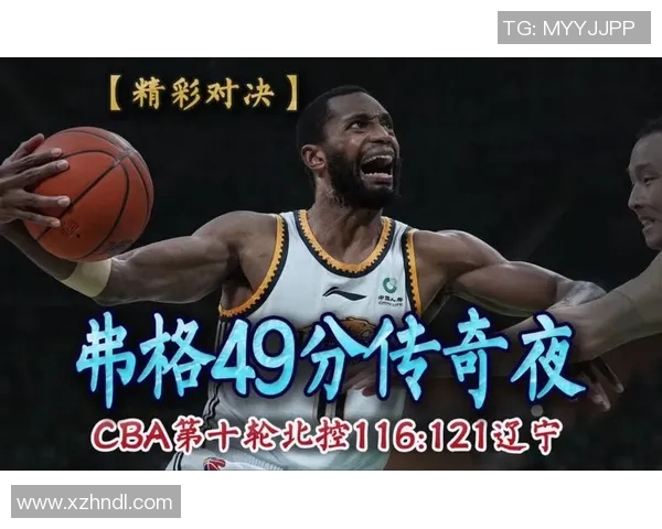 探寻弗格的魅力与传奇背后的故事与启示