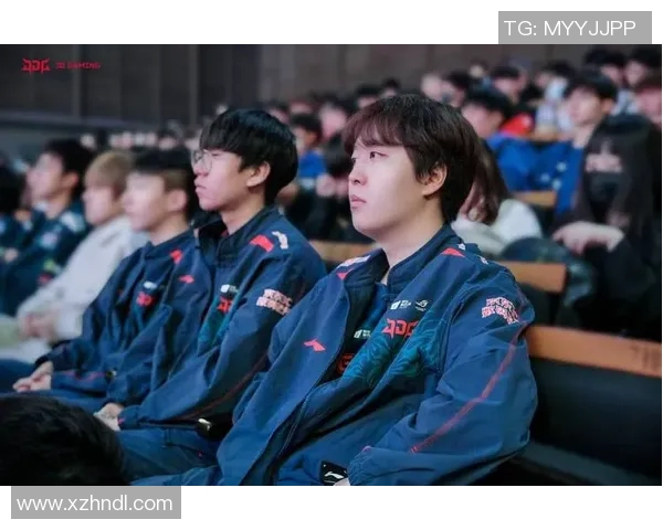 城市赛分析:JDG选手个人能力的精彩表现与战术执行探讨MBA