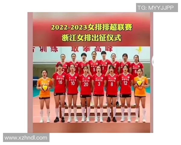 南京排球队实力分析及赛季表现评估的深度解读与展望